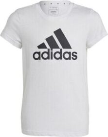 adidas Lyhythihainen t-paita adidas  Big Logo Tee Jr  EU S