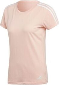 adidas Lyhythihainen t-paita adidas  CZ5779  EU XL