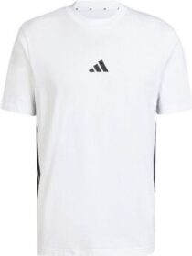 adidas Lyhythihainen t-paita adidas  JE6388  EU L