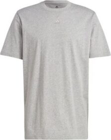 adidas Lyhythihainen t-paita adidas  M All Szn T  EU M
