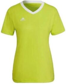 adidas Lyhythihainen t-paita adidas  Maillot  Entrada 22 Jaune  EU S