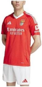 adidas Lyhythihainen t-paita adidas  T-shirt  Benfica 24/25 rouge  EU S