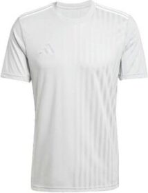 adidas Lyhythihainen t-paita adidas  T-shirt  Campeon 25 gris  EU S