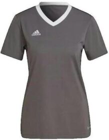 adidas Lyhythihainen t-paita adidas  T-shirt  Entrada 22 pour femme  EU M