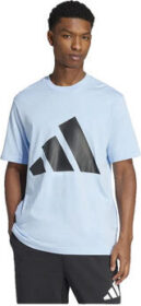 adidas Lyhythihainen t-paita adidas  T-shirt  Essentials Big Logo coton  EU S