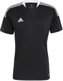 adidas Lyhythihainen t-paita adidas  Tiro 21 Training Tshirt  EU S
