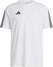 adidas Lyhythihainen t-paita adidas  Tiro 23 Competition  EU S
