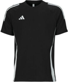 adidas Lyhythihainen t-paita adidas  TIRO24 SWTEE  EU M