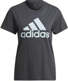 adidas Lyhythihainen t-paita adidas  W Bl T  EU XXS