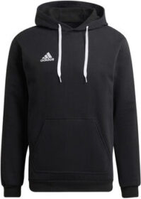 adidas Ulkoilutakki adidas  adidas Entrada 22 Sweat Hoodie  EU XL