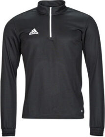 adidas Ulkoilutakki adidas  ENT22 TR TOP  EU XXL