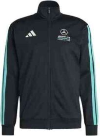 adidas Ulkoilutakki adidas  Mercedes-AMG Petronas Formula 1 Team DNA Track Top  EU M