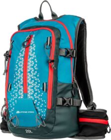 Alpine Pro Zule Reppu