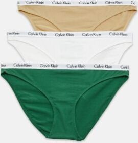 Calvin Klein Bikini 3PK BP4 FOLIAGE/WHITE/TR XL