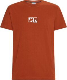 Calvin Klein Graphic Box Logo T-shirt Punainen S Mies