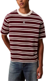 Calvin Klein Lyhythihainen t-paita Calvin Klein Jeans  SS HVYWT STRIPE JERS LV04RC235G  EU XXL