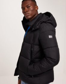 casual friday Casual Friday CFWilson 0085 short puffe Puffer-takit Anthracite