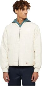 Dickies Gardiner Liner Takki