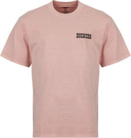 Dickies Lyhythihainen t-paita Dickies  BUCHTELL SS TEE BRIDAL ROSE  EU S