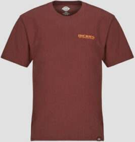 Dickies Lyhythihainen t-paita Dickies  BURNS TEE SS ANDORRA  EU S