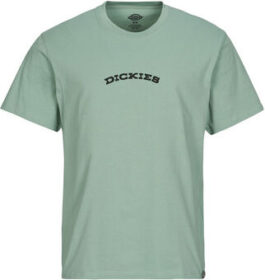 Dickies Lyhythihainen t-paita Dickies  DICKIES OUTDOOR SS TEE  EU XL