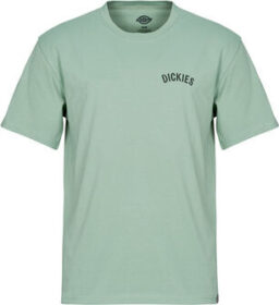 Dickies Lyhythihainen t-paita Dickies  DICKIES SNAKE SS TEE  EU XL