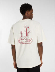 Dickies Lyhythihainen t-paita Dickies  Fairlawn ss tee  EU L