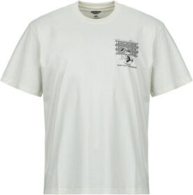 Dickies Lyhythihainen t-paita Dickies  LYNNDYL SS TEE EGRET  EU S