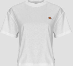 Dickies Lyhythihainen t-paita Dickies  OAKPORT BOXY SS TEE  EU S