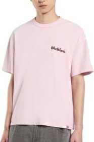 Dickies Lyhythihainen t-paita Dickies  Slayden Gd Tee  EU M