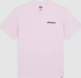 Dickies Lyhythihainen t-paita Dickies  Statesville Tee  EU M