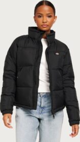 Dickies Musta – Alatna