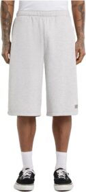 Dickies Streetsboro 13´´ Urheilushortsit