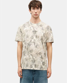 EAX Lyhythihainen t-paita EAX  XM002502 AF10358  EU XL