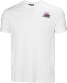 Helly Hansen Lyhythihainen t-paita Helly Hansen  Core Graphic 2.0  EU XXL