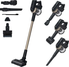 HOOVER Hoover HF4P10P 011 HF4+ Pet All Floor 25.2V -varsi-imuri kulta
