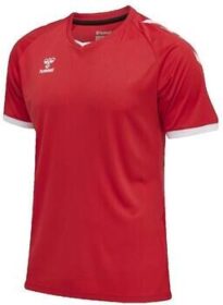 hummel Lyhythihainen t-paita hummel  T-shirt  Core Volley  EU L