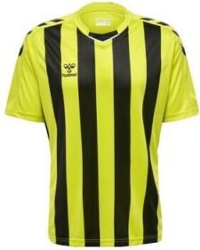 hummel Lyhythihainen t-paita hummel  T-shirt  Core XK rayé  EU S