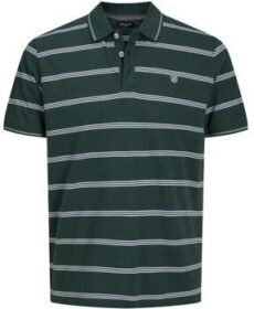 Jack & Jones Lyhythihainen t-paita Jack & Jones  12190262  EU S