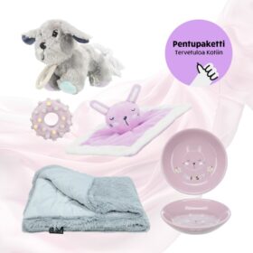 Koiratarvike Haukkula Pentupaketti – Tervetuloa Kotiin pinkki