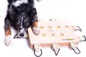 My Intelligent Dogs iPet – Älypeli Koirille