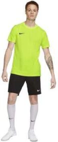 Nike Lyhythihainen t-paita Nike  BV6708-702  EU S