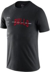 Nike Lyhythihainen t-paita Nike  CK8009010  EU XL