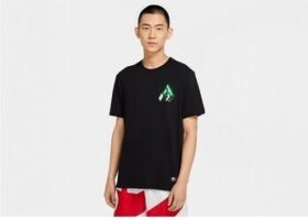 Nike Lyhythihainen t-paita Nike  Giannis Logo Dri-fit  EU S
