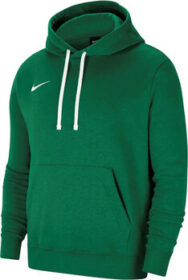 Nike Ulkoilutakki Nike  Team Park 20 Hoodie  EU M