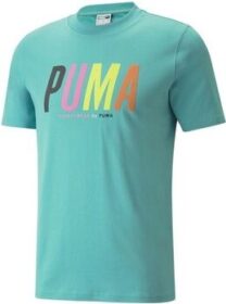 Puma Lyhythihainen t-paita Puma  Swxp Graphic  EU M