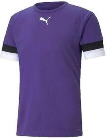 Puma Lyhythihainen t-paita Puma  T-shirt  Teamrise Jersey violet  EU S