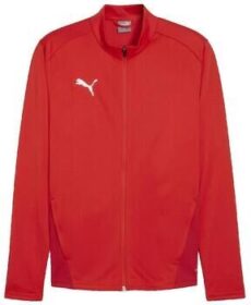 Puma Ulkoilutakki Puma  Veste de survêtement  TeamGoal  EU L