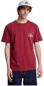 Quiksilver Lyhythihainen t-paita Quiksilver  Bliss Point  EU S