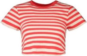 Superdry Lyhythihainen t-paita Superdry  T-shirt  Vintage Crop Top  EU S